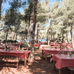 Journée du personnel aventure, soleil et détente bienvenue aux Embiez ! - Six-Fours-les-Plages - Var - Sud